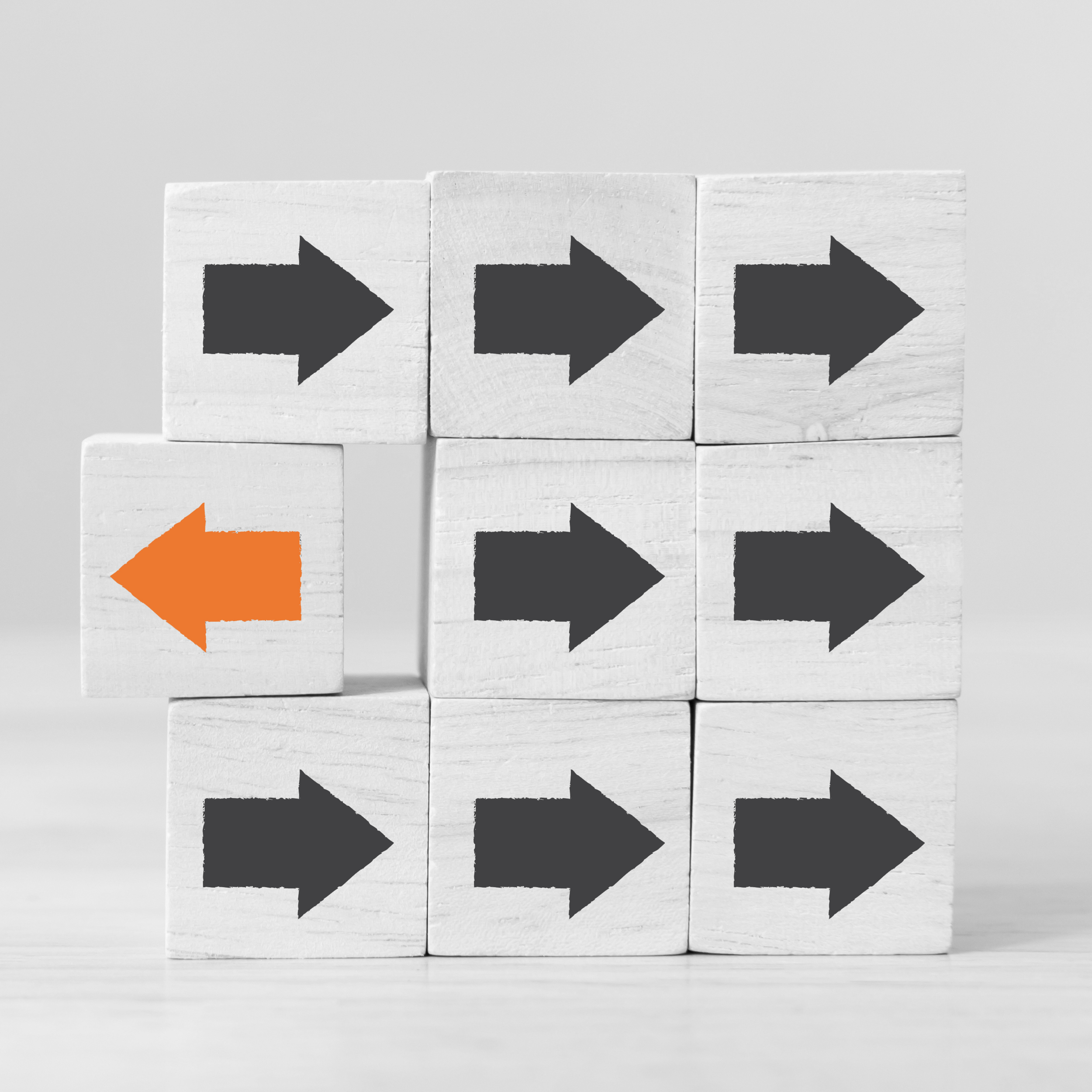 2024 09 September blog image