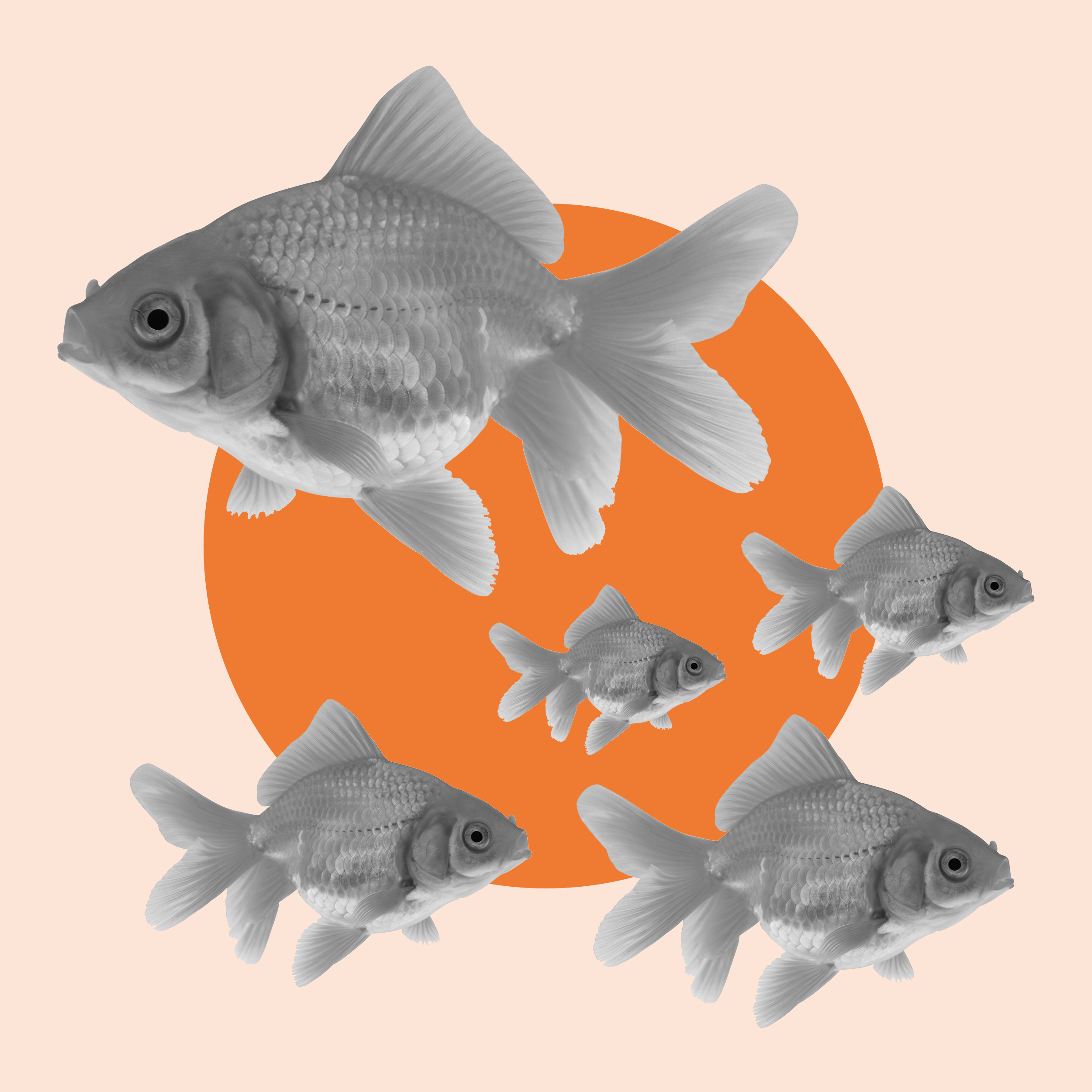 2025 01 January Blog