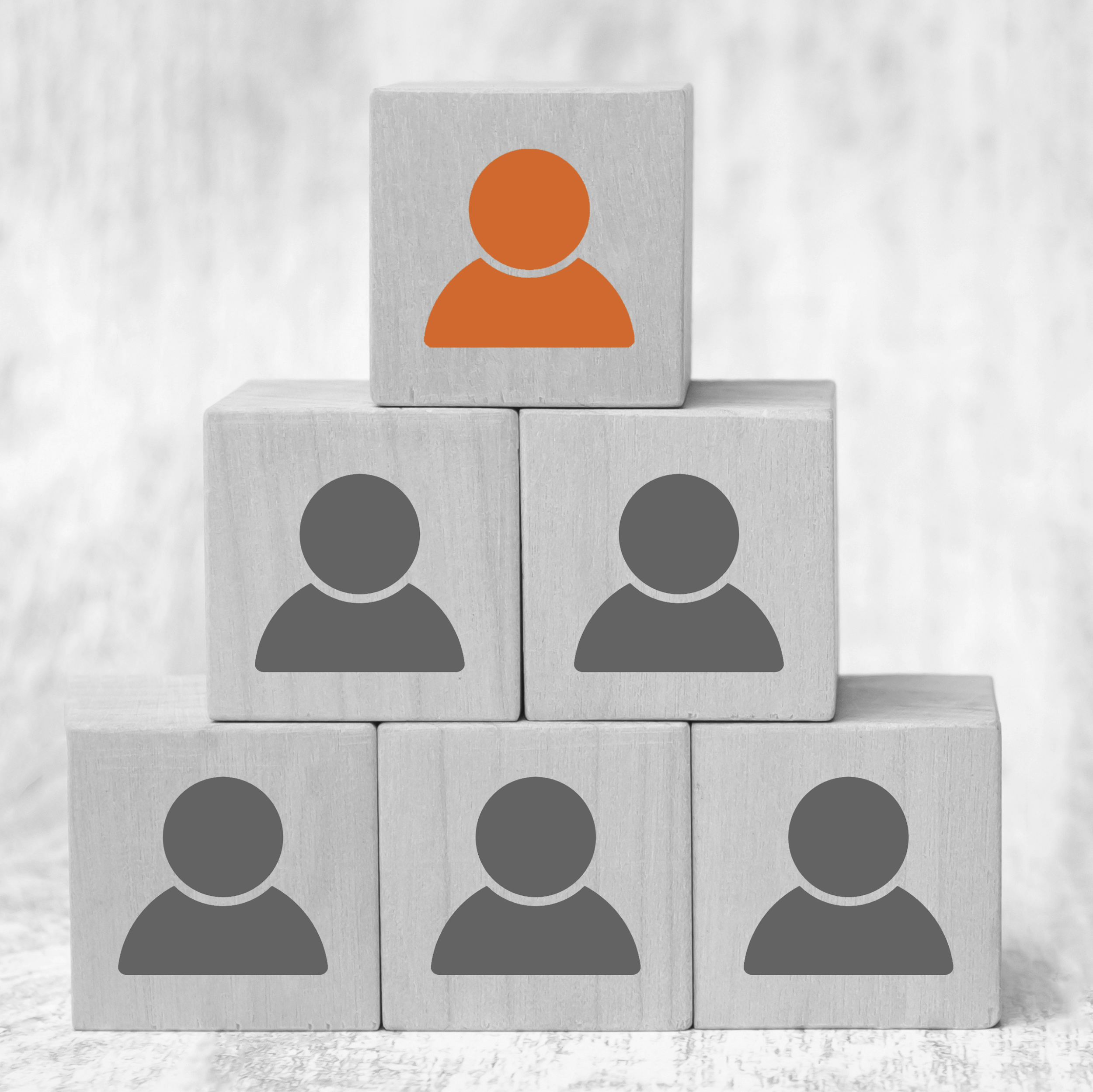 2025 08 August Blog Image 2