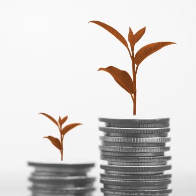 2025 02 February blog image