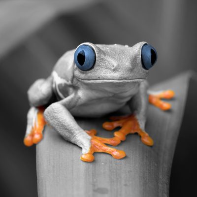 2025 10 October Blog Image